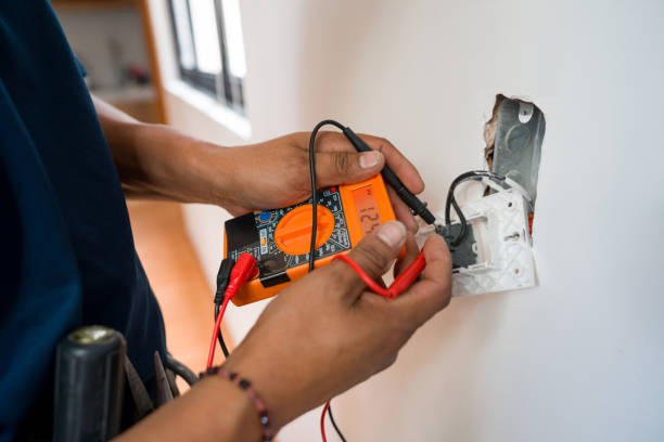 Best Electrician for Home Renovation  in Allendale, NJ